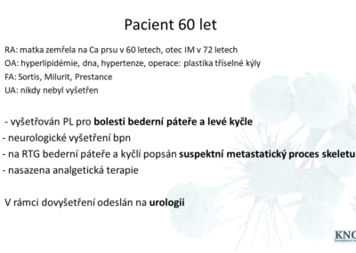 Snímek1