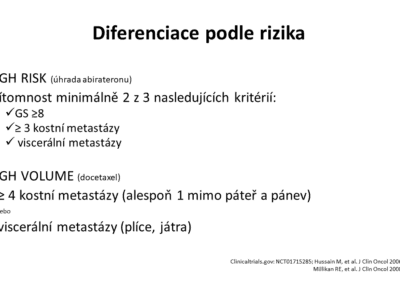 Snímek10