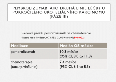 Snímek13