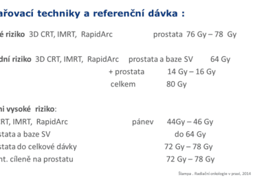 Snímek16