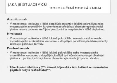Snímek18