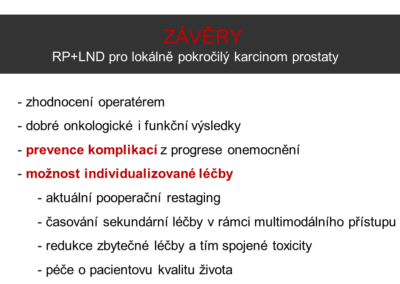 Snímek19