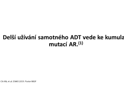 Snímek22