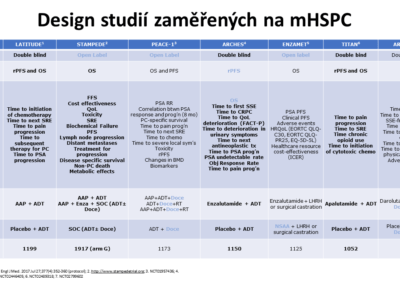 Snímek24