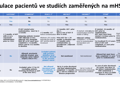 Snímek25