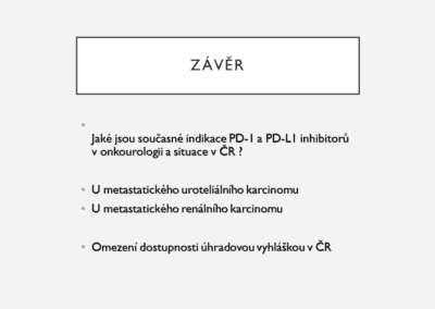 Snímek41