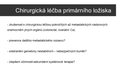 Snímek4